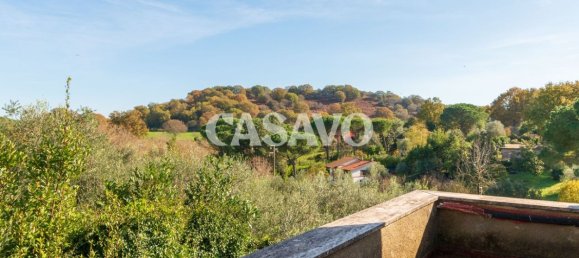 8 chambres Villa à Manziana, Italy No. 321800 39