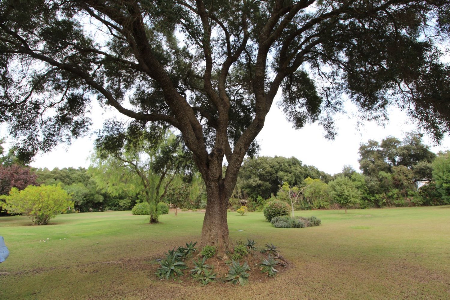 Villa T5 em Cadiz, Spain N.º 29241