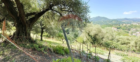 14غرفة منزل في Serra Riccò, Italy رقم 280846 14