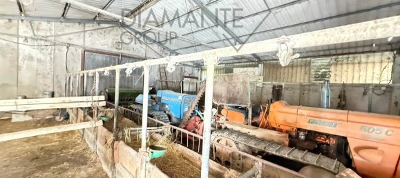 6 bedrooms House in Gubbio, Italy No. 296962 30