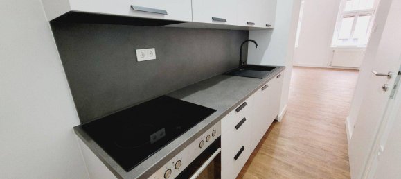 Studio in Rudolfsheim-Funfhaus, Austria No. 165041 10