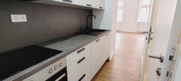 Studio in Rudolfsheim-Funfhaus, Austria No. 165041 11