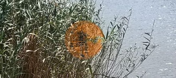 Grundstück in Alcoutim, Portugal 760m², Nr. 32655 10