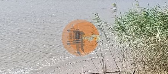 Grundstück in Alcoutim, Portugal 760m², Nr. 32655 3