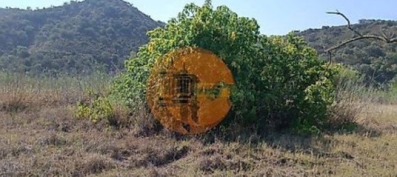 Grundstück in Alcoutim, Portugal 760m², Nr. 32655 2