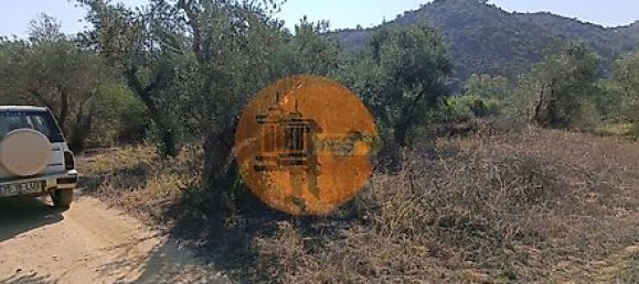 Grundstück in Alcoutim, Portugal 760m², Nr. 32655 19