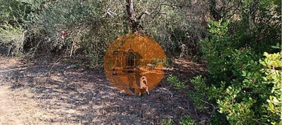 Grundstück in Alcoutim, Portugal 760m², Nr. 32655 18