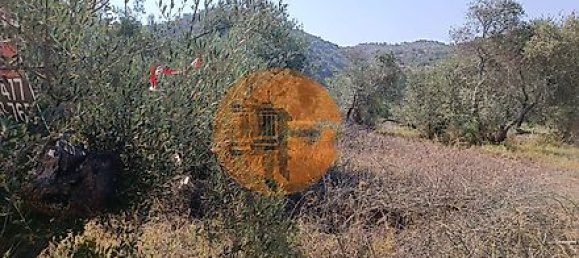 Grundstück in Alcoutim, Portugal 760m², Nr. 32655 7