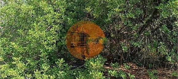 Grundstück in Alcoutim, Portugal 760m², Nr. 32655 8