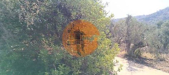 Grundstück in Alcoutim, Portugal 760m², Nr. 32655 13