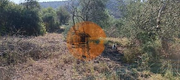 Grundstück in Alcoutim, Portugal 760m², Nr. 32655 15