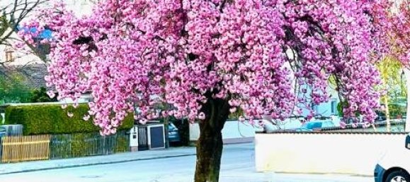 Duplex T2 em Munich, Germany N.º 25005 17