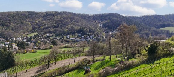  Land in Klosterneuburg, Austria No. 261389 3