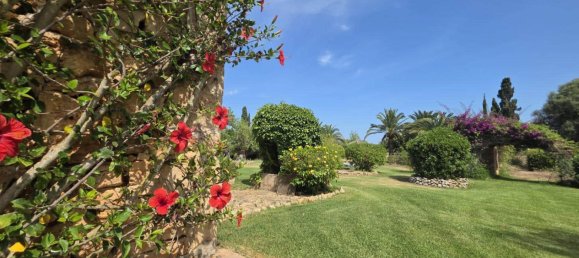 2 bedrooms House in Mallorca, Spain No. 162487 27