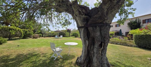 2 bedrooms House in Mallorca, Spain No. 162487 24