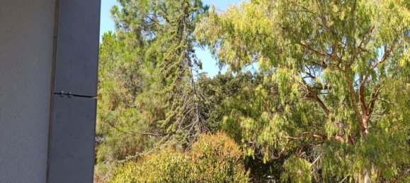 5 rooms Apartment in Sassari, Italy No. 295440 19