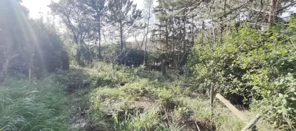 554m² Land in Nimes, France No. 102376 2