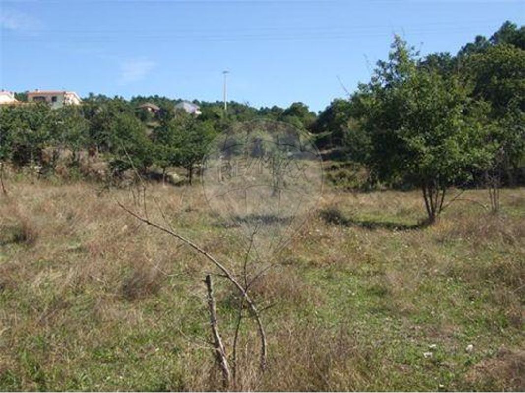 2600m² Land in Sao Pedro do Sul, Portugal No. 48384