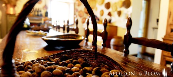 6 bedrooms House in Monteleone d'Orvieto, Italy No. 52862 15