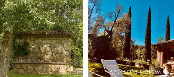 6 bedrooms House in Monteleone d'Orvieto, Italy No. 52862 5