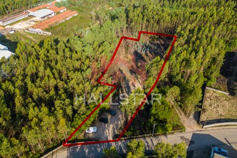 3610m² Land in Leiria, Portugal No. 75472
