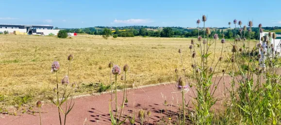 280m² Land in Sainte-Foy-d'Aigrefeuille, France No. 100111 5