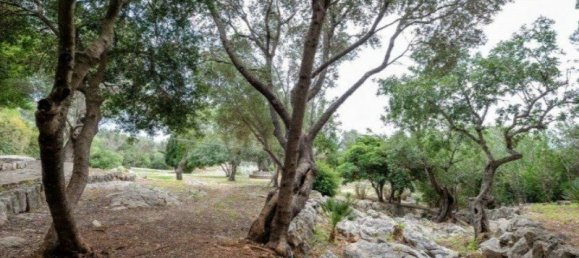 11 غرف نوم قلاع في Mallorca, Spain رقم 30653 22