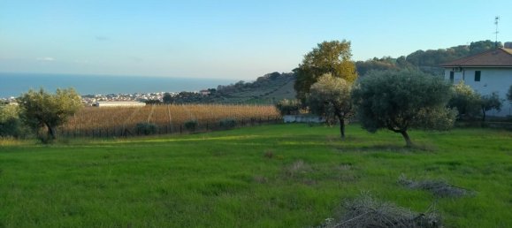 1-salle Terrain à Tortoreto, Italy No. 149767 4