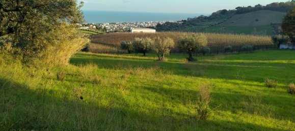 1-salle Terrain à Tortoreto, Italy No. 149767 2