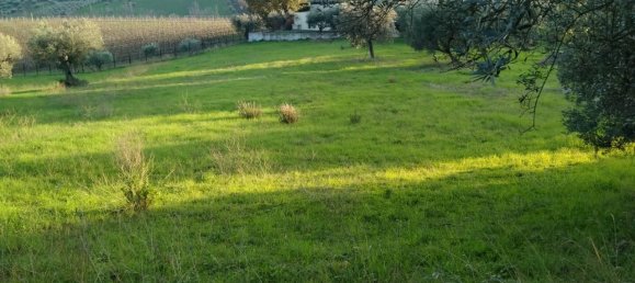 1-salle Terrain à Tortoreto, Italy No. 149767 3