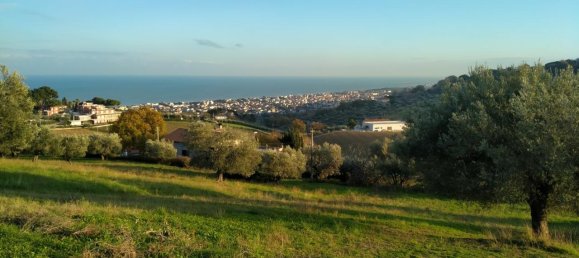 1-salle Terrain à Tortoreto, Italy No. 149767 5