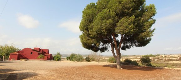 Villa T4 em San Miguel de Salinas, Spain N.º 8264 10