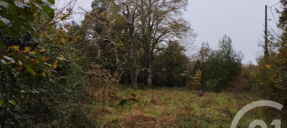 قطعة أرض في Cellettes, France 1178متر مربع رقم 214067 4