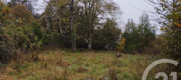 قطعة أرض في Cellettes, France 1178متر مربع رقم 214067 2