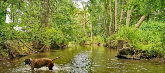 4 bedrooms Farm in Neu-Ulm, Germany No. 124725 16