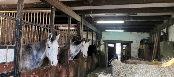 4 bedrooms Farm in Neu-Ulm, Germany No. 124725 13