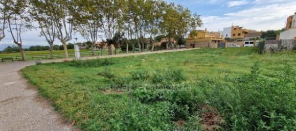1603m² Land in Garriguella, Spain No. 73575 15