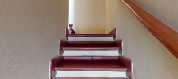 Casa de 2 dormitorios en Barga, Italy No. 237833 10