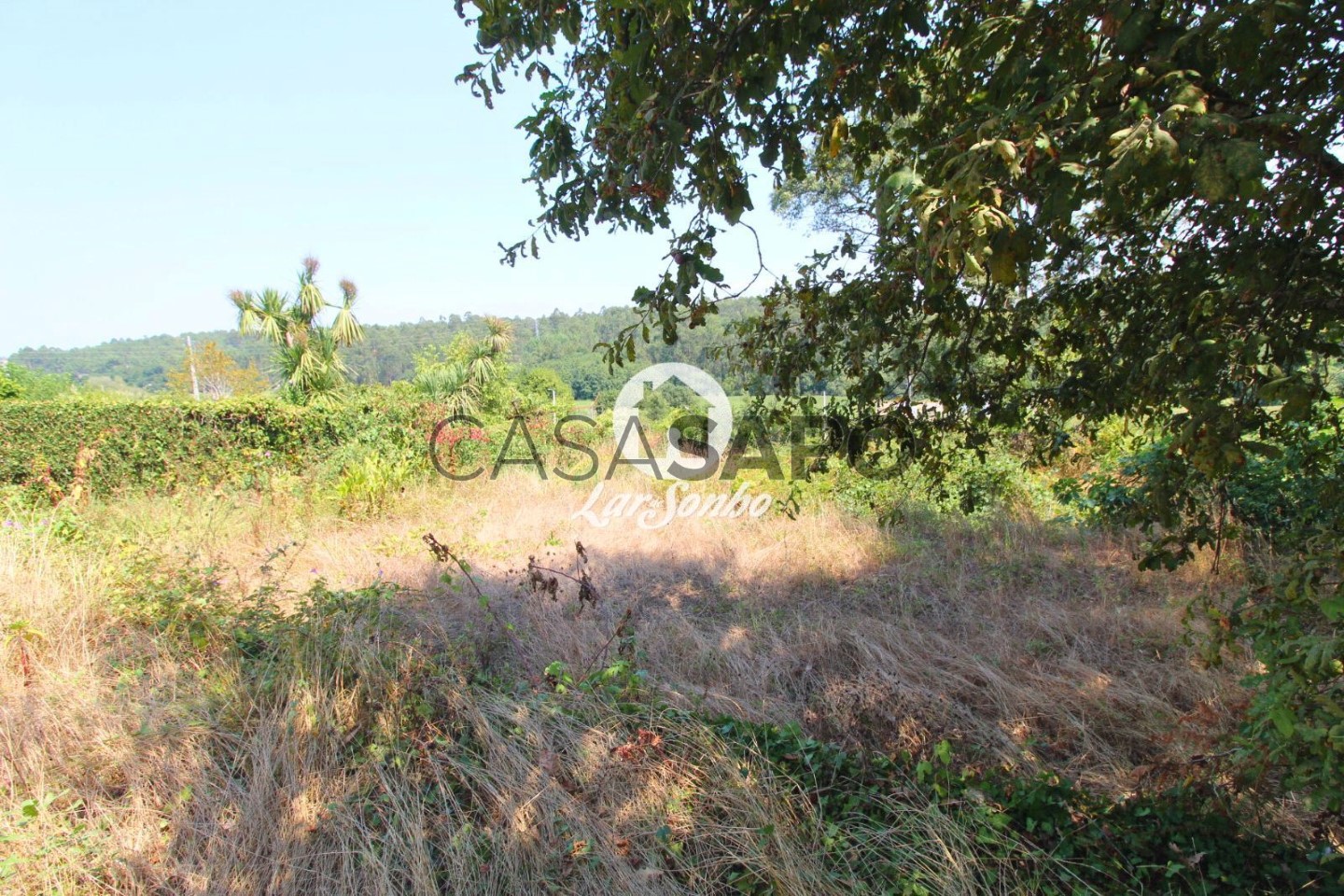  قطعة أرض في Barcelos, Portugal رقم 349089