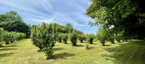 7800m² Land in Chiarano, Italy No. 272582 16