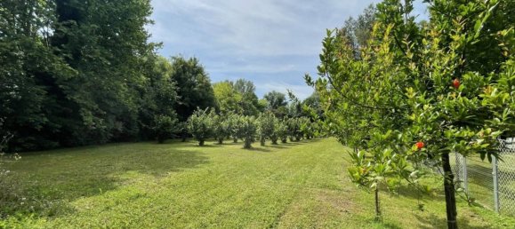 7800m² Land in Chiarano, Italy No. 272582 11