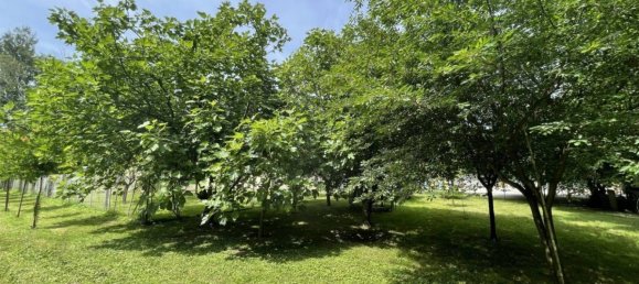 7800m² Land in Chiarano, Italy No. 272582 20