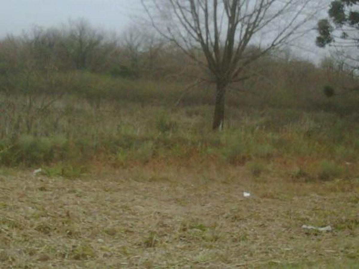  Land in Pilar, Argentina No. 36261