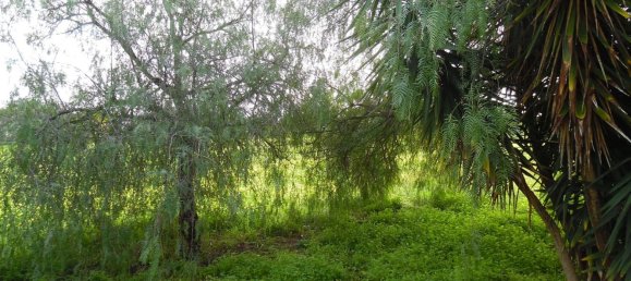 Villa de 2 habitaciónes en Brindisi, Italy No. 188852 13