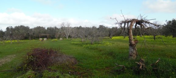 Villa de 2 habitaciónes en Brindisi, Italy No. 188852 7