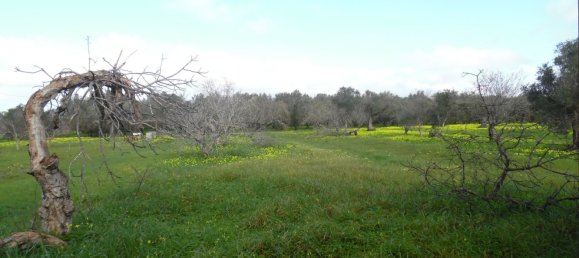 Villa de 2 habitaciónes en Brindisi, Italy No. 188852 8