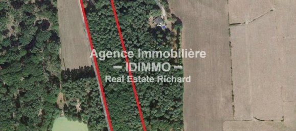 4 chambres Maison à Nesploy, France No. 87550 17