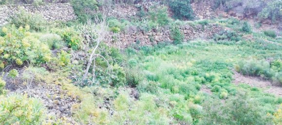 Terreno en La Guancha, Spain 5813 m² No. 78532 8