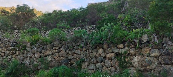 Terreno en La Guancha, Spain 5813 m² No. 78532 10