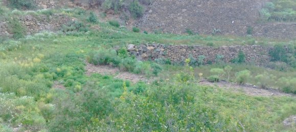 Terreno en La Guancha, Spain 5813 m² No. 78532 9